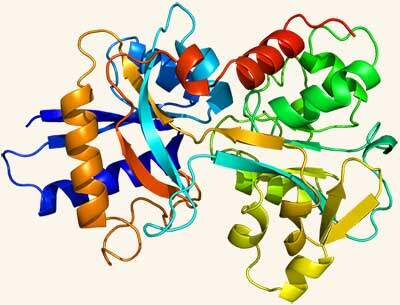 GE.FO. nutrition Srl: lattoferrina