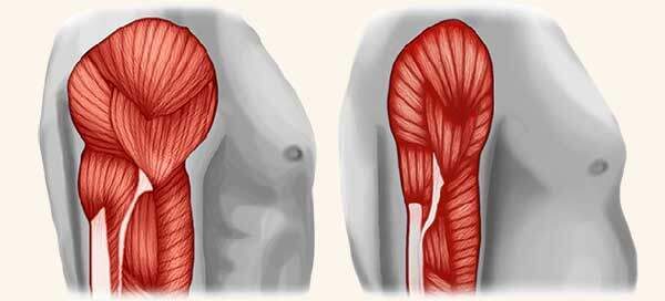 GE.FO. nutrition Srl: Sarcopenia GE.FO. nutrition Srl: Sarcopenia