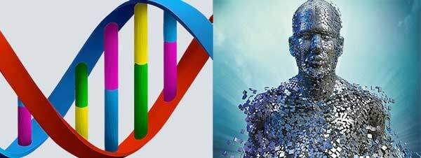 Lo zinco presente nel Deckelor contribuisce alla normale sintesi del DNA