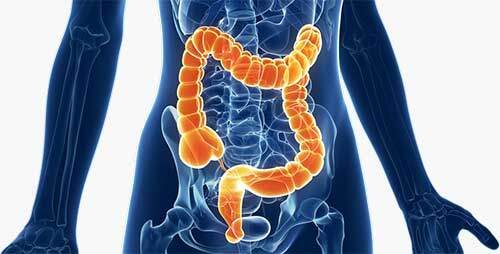 Il Potential N Delta è un integratore alimentare a base di estratti vegetali. Hibiscus sabdariffa L. contribuisce alla regolarità del transito intestinale Il Potential N Delta è un integratore alimentare a base di estratti vegetali. Hibiscus sabdariffa L. contribuisce alla regolarità del transito intestinale
