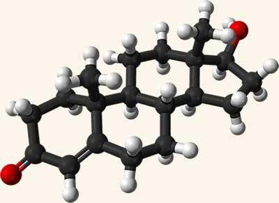 Molecola del testosterone GE.FO. nutrition Srl: Molecola del testosterone