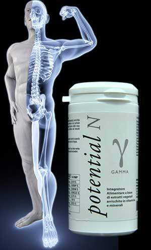 La Vitamina D presente nel Potential N Gamma, contribuisce al mantenimento di ossa normali GE.FO. nutrition Srl: La Vitamina D presente nel Potential N Gamma, contribuisce al mantenimento di ossa normali